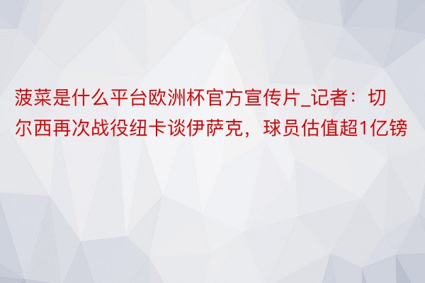 菠菜是什么平台欧洲杯官方宣传片_记者：切尔西再次战役纽卡谈伊萨克，球员估值超1亿镑