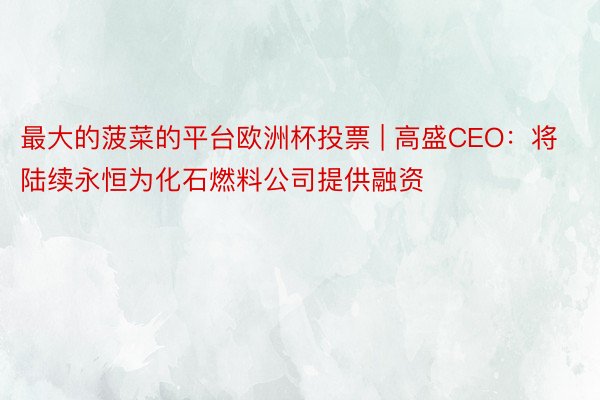最大的菠菜的平台欧洲杯投票 | 高盛CEO：将陆续永恒为化石燃料公司提供融资